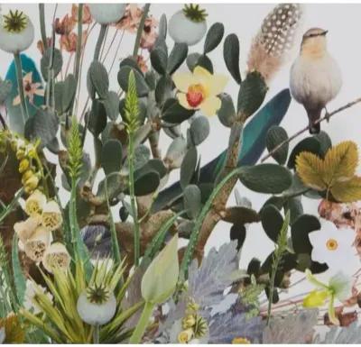 Dawn Wolfe - 3D Plant Montage w/Birds - Dawn Wolfe Design - Green