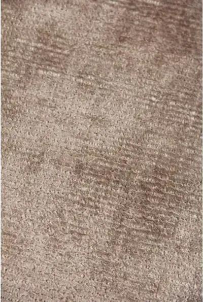 Badila Rug - Taupe - Exquisite Rugs - Beige - Beige