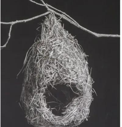 Dawn Wolfe - Weaver Bird Nest-Black - Dawn Wolfe Design