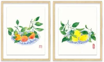 Gabby Malpas - Clementines & Lemons Diptych - Orange