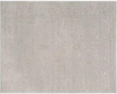 Padilla Rug - Light Gray/Cream - Gray