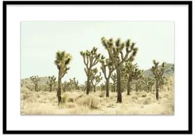 Christine Flynn - Joshua Tree I - Green