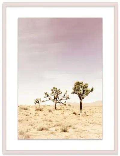 Christine Flynn - Joshua Tree II - Purple