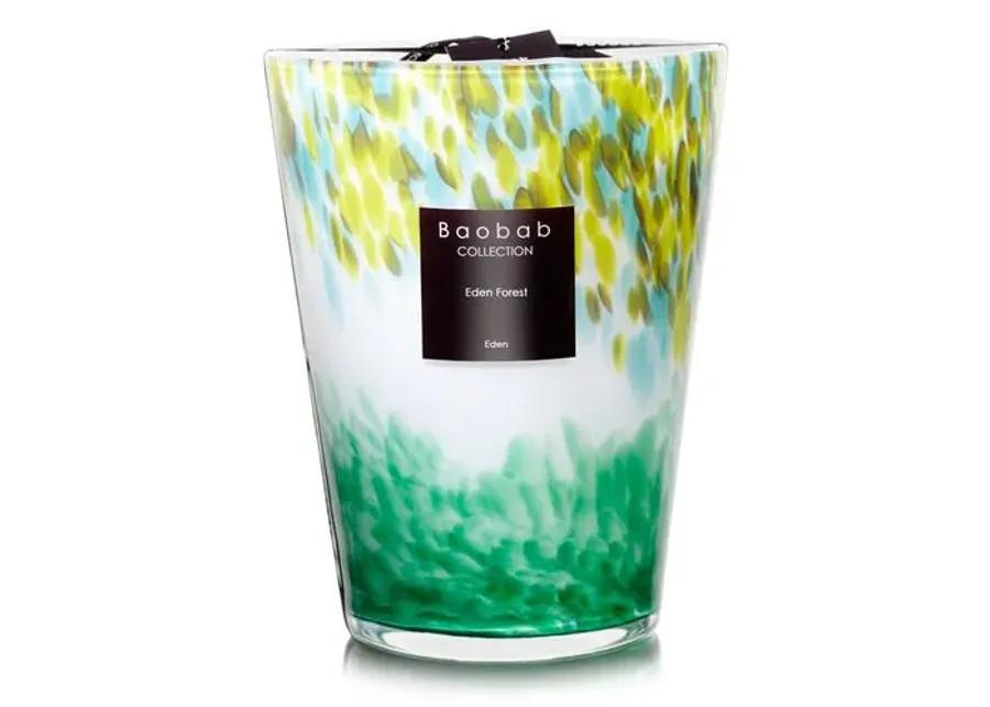 Forest Candle - Grapefruit & Green Tea - BAOBAB COLLECTION