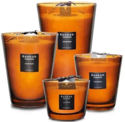 Cuir de Russie Candle - Leather & Musk - BAOBAB COLLECTION - Orange