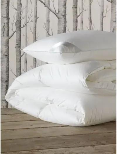 Celesta Deluxe Comforter - White - Eastern Accents, Breathable, Durable, Comfortable