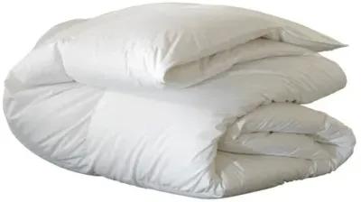 Celesta Deluxe Comforter - White - Eastern Accents, Breathable, Durable, Comfortable