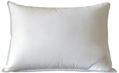 Celesta Firm Pillow - White - Eastern Accents