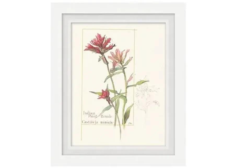 Set of 4 Floral Lithographs