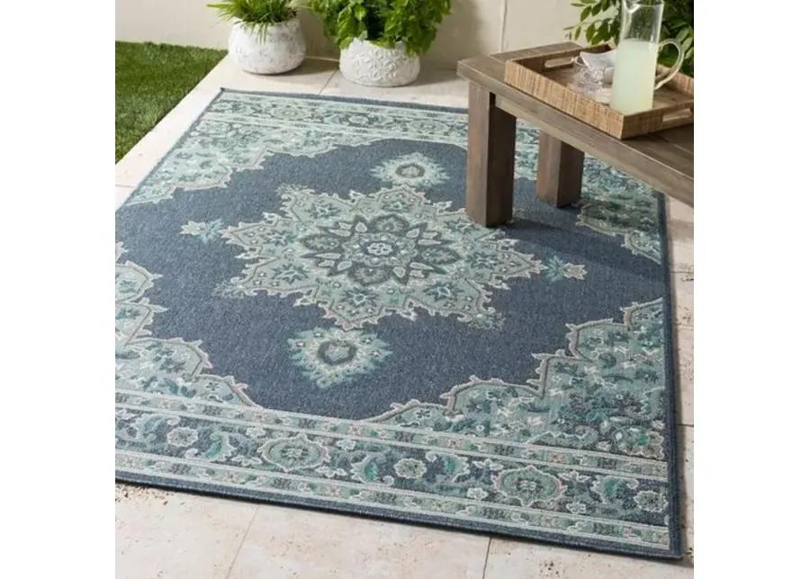 Embiid Outdoor Rug - Aqua/Teal - Blue - Blue