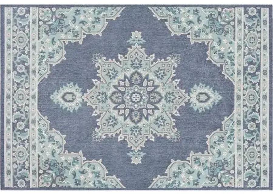 Embiid Outdoor Rug - Aqua/Teal - Blue - Blue