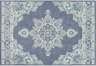 Embiid Outdoor Rug - Aqua/Teal - Blue - Blue