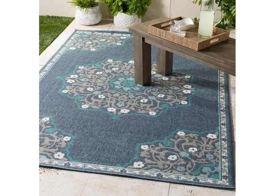 Wilson Outdoor Rug - Aqua/Taupe - Blue - Blue