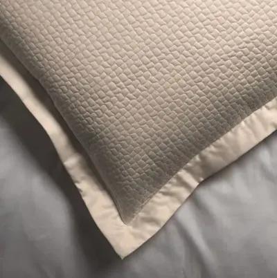 Hamilton Euro Sham - Peacock Alley - Silver