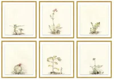 Mary H. Case - Botanical Set of 6 - Blue