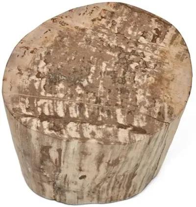 Karina Polished Stump Stool - Handcrafted - Brown