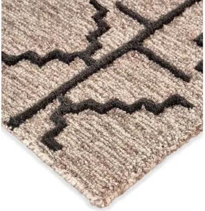 Salinas Rug - Charcoal/Gray - Beige - Beige