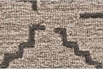 Salinas Rug - Charcoal/Gray - Beige - Beige