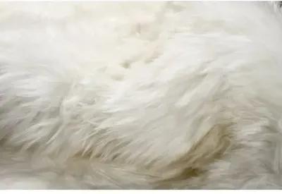 5'x5' round New Zealand Sheepskin Rug - Natural - White - White