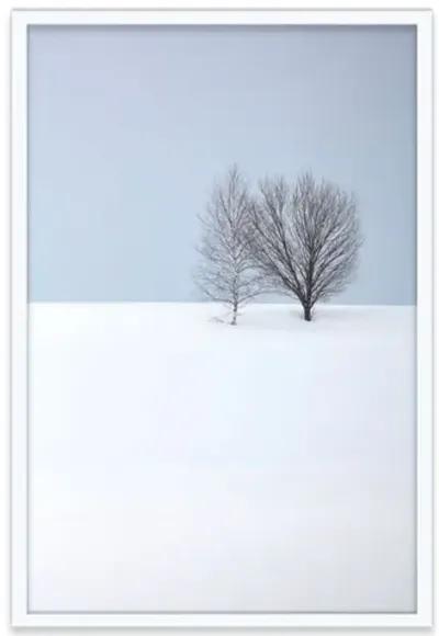 Pascal Shirley - Two Trees - White