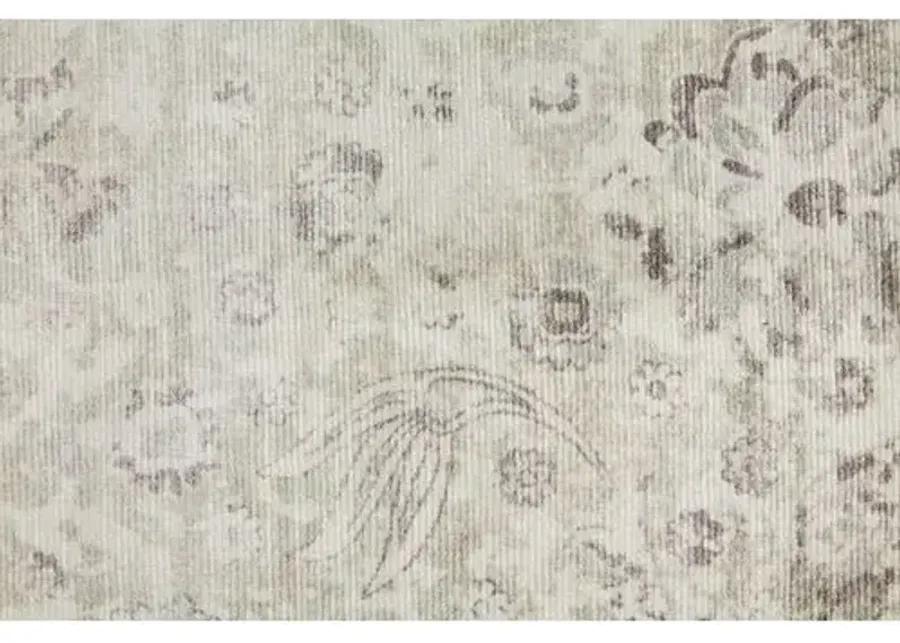 Royal Rug - Ivory/Beige - Beige