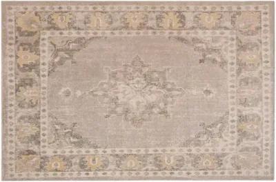 Macey Indoor/Outdoor Rug - Gray/Gold - Gray