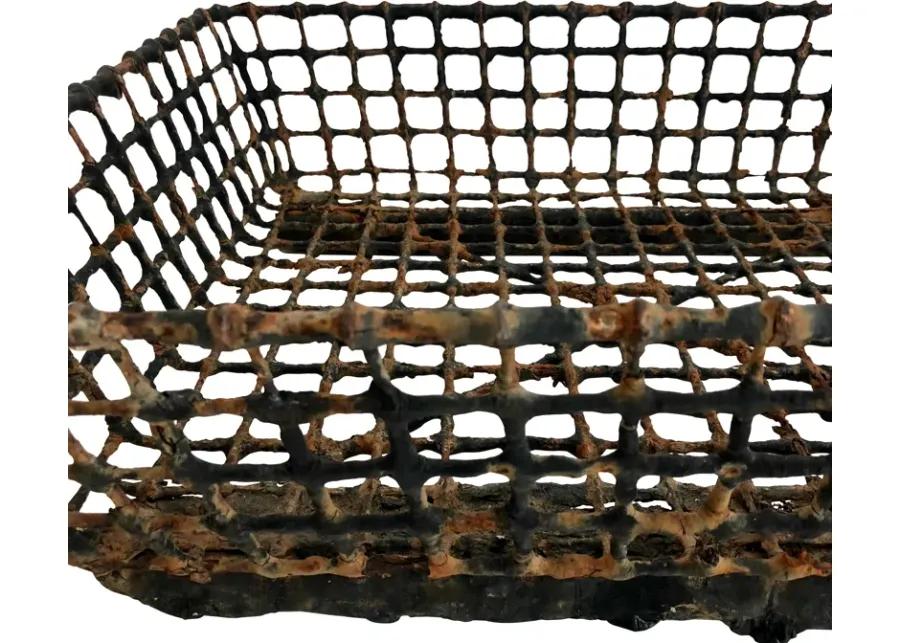 French Wire Oyster Basket - Ballyhoo - Brown