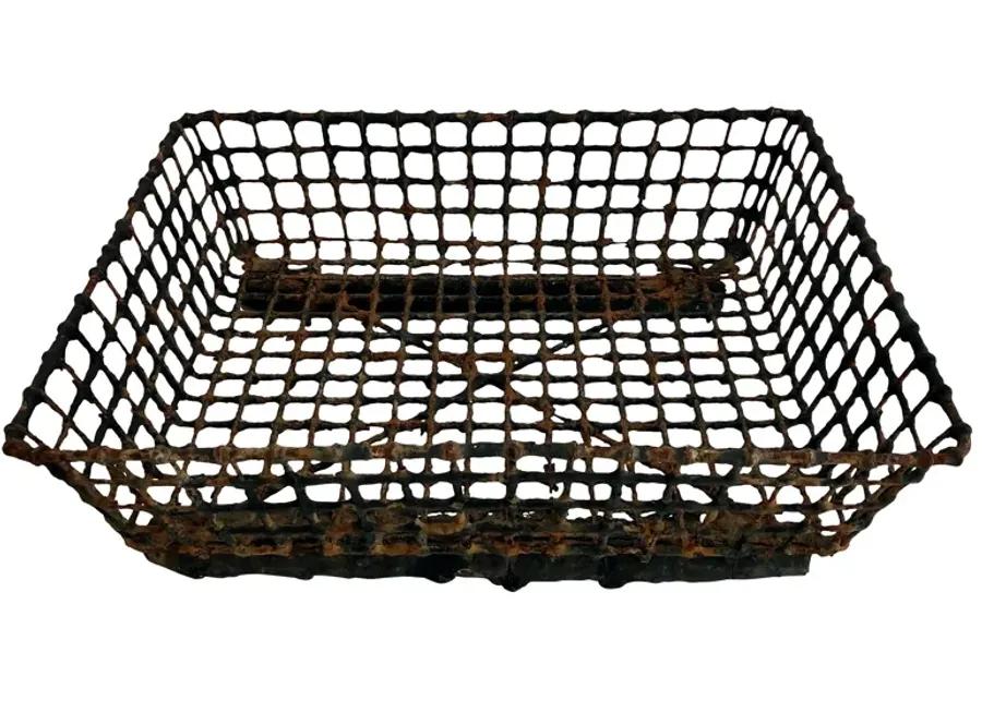 French Wire Oyster Basket - Ballyhoo - Brown