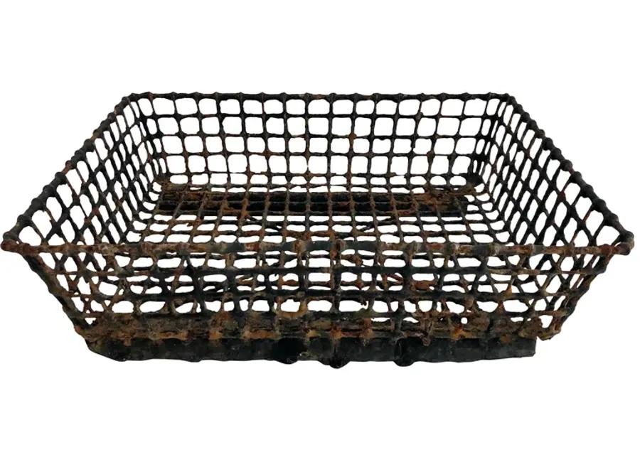 French Wire Oyster Basket - Ballyhoo - Brown