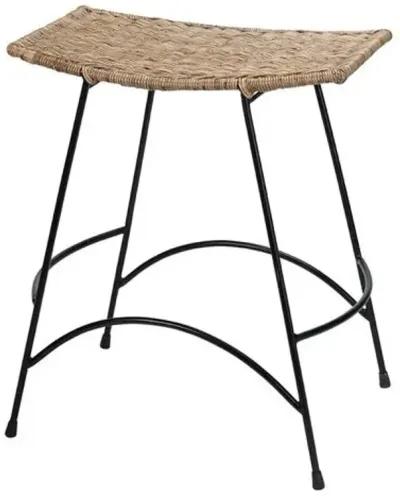 Wing Counter Stool - Natural - Jamie Young Co.