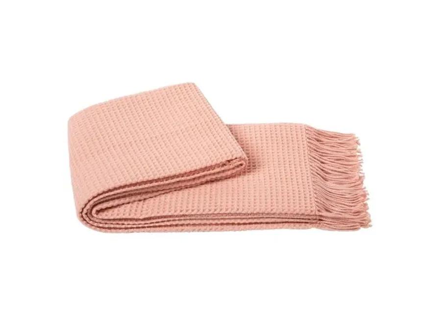 Waffle Weave Blend Throw - Pink, Fringed