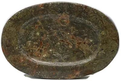 Natural Stone Ammonite Fossils Platter - The Queens Landing - Green