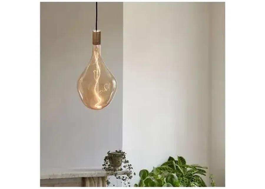 Voronoi III Walnut Pendant - Walnut - Tala Lighting - Brown