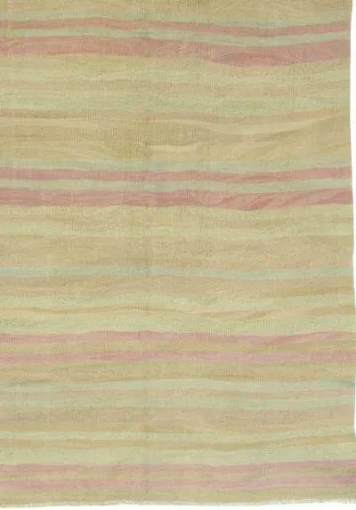 Turkish Tan Flatweave Kilim Rug - 5'6 x 9 - Beige - Beige