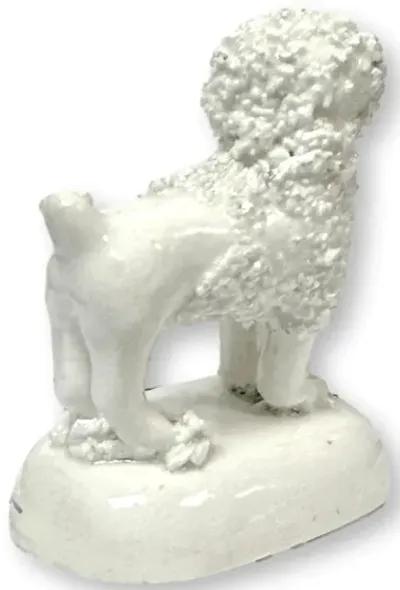 19th-C English Staffordshire Mini Poodle - Rose Victoria - White