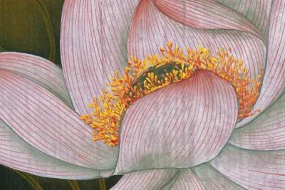 Painting - Lotus Flower - Chinese School - 1970s - McNaught Fine Art - Orange