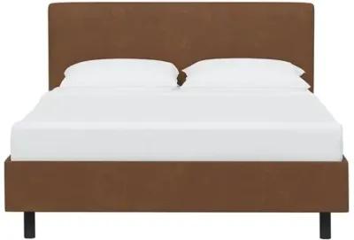 Novak Faux Leather Bed - Brown