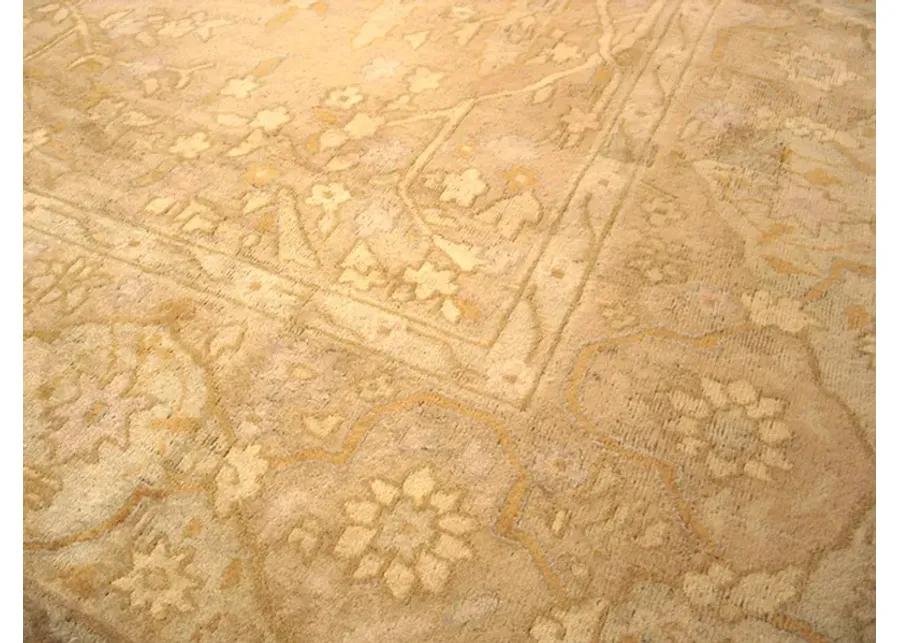 Indian Rug 18'2" x 13'6" - Beige - Beige