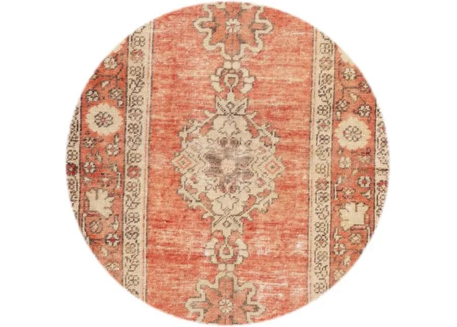 Early 20th Century Anatolian Wool Runner - Apadana - Orange