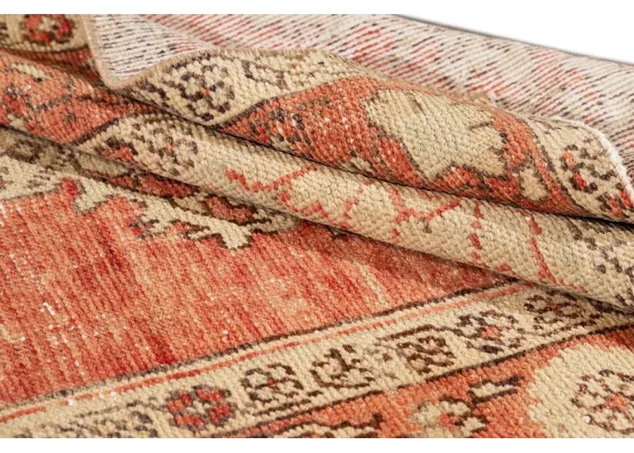 Early 20th Century Anatolian Wool Runner - Apadana - Orange