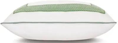 Willa 20x20 Outdoor Pillow - White/Celadon