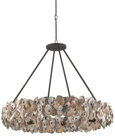 Oyster Chandelier - Bronze/Natural - Currey & Company