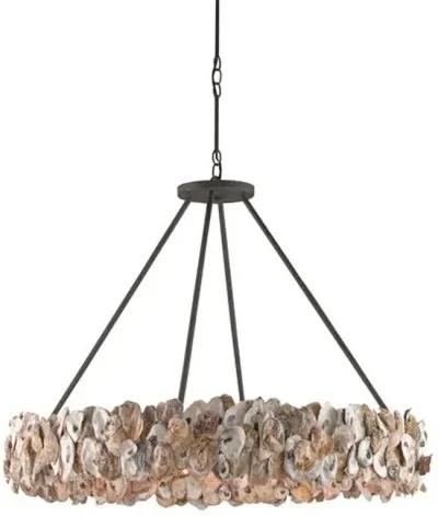 Oyster Chandelier - Bronze/Natural - Currey & Company