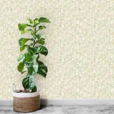 Trellis Susan Hable Wallpaper - Napa - Soicher Marin - Green