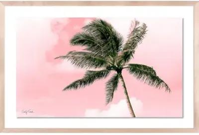 Carly Tabak - Electric Pink Palm