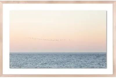 Carly Tabak - Sunset Flock