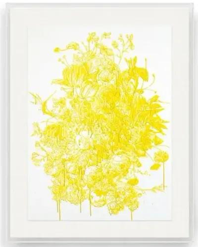 Thomas Little - Yellow Flowers I in Acrylic