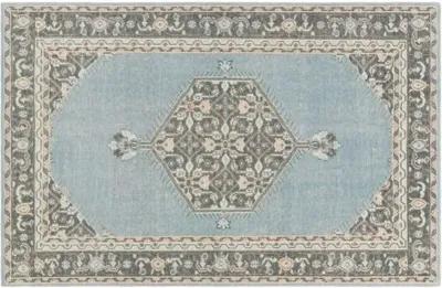 Daira Hand-Knotted Rug - Aqua/Gray - Blue - Blue