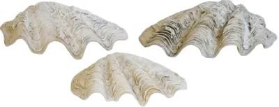 Nautical Coastal Clamshells - Set of 3 - White