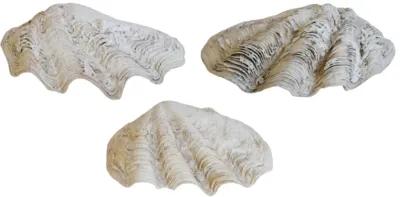 Nautical Coastal Clamshells - Set of 3 - White